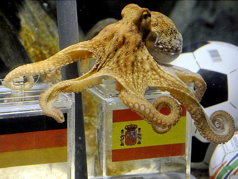 Paul the oracle Octopus dies