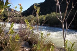 The Guadiaro river between Garganta de las Buitreras and El Comenar. Photograph: Karl Smallman