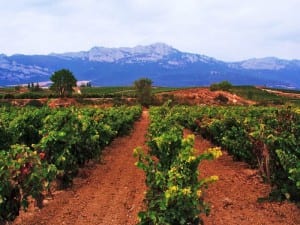 Bodegas-rioja