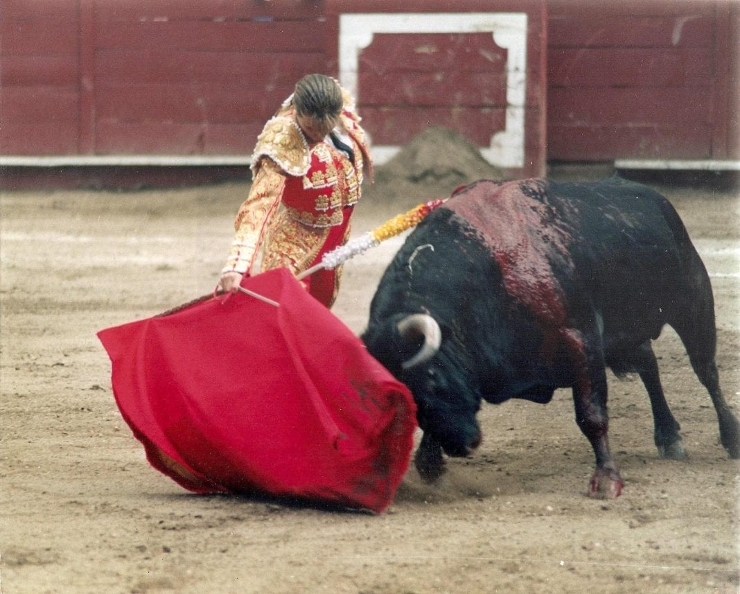 Female Bullfighter Cristina Sanchez Returns To Ring For Charity After