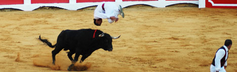 Recotes - Bullfighting