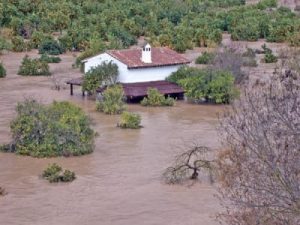 Flooding in Jimera de Libar. Photo: Karl Smallman
