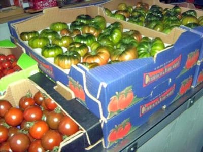 almeria tomatoes