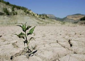 spain in danger of chronic drought