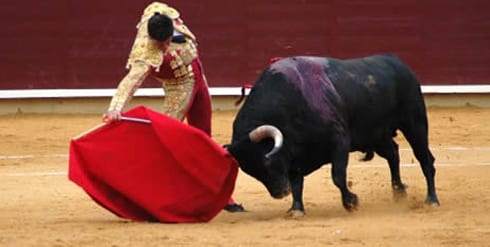 bullfighting in spain