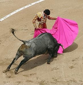 Bullfighting continues to bring in soaring ticket sales