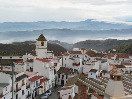 canillas de aceituno