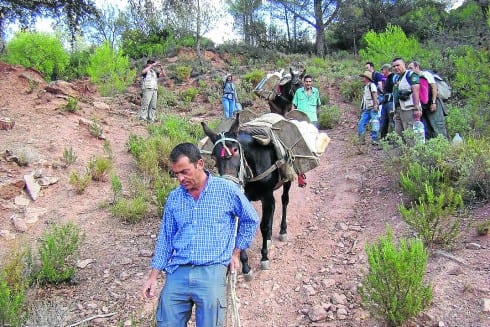 GREEN British volunteers help protect Sierra de las Nieves  e