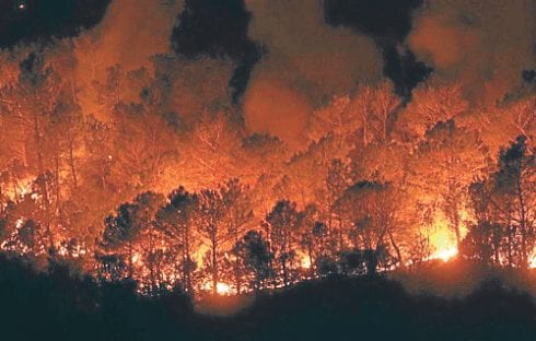 forest fires in andalucia destroy  hectares in summer