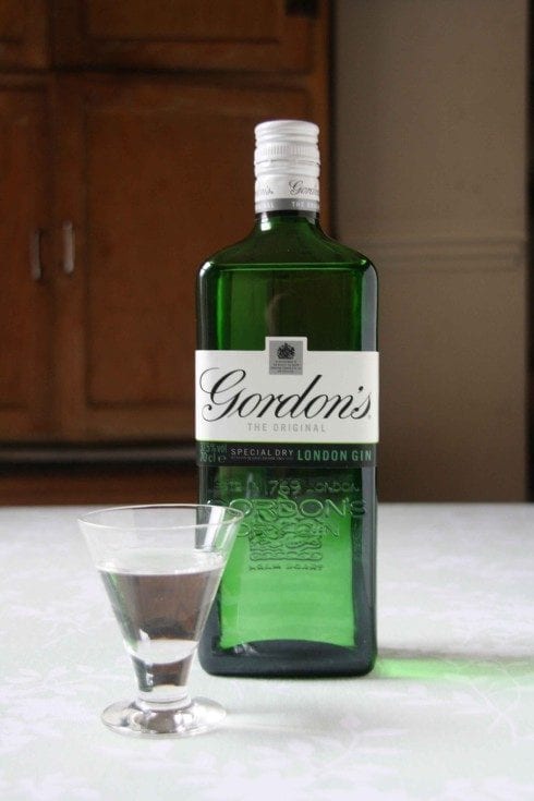 gordons gin pic final  e