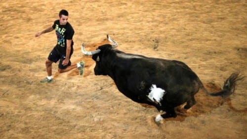 bull death pic e