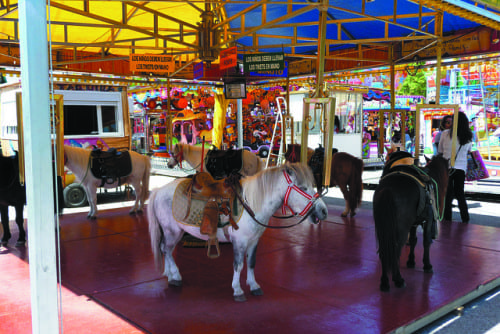 pony carousel  CMYK e