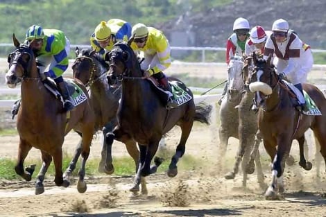 mijas racecourse