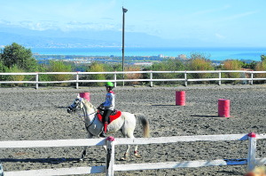 Hipica riding school is set to be siezed