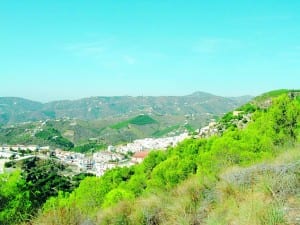 Cerro del Pinto