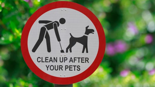 dog poo sign