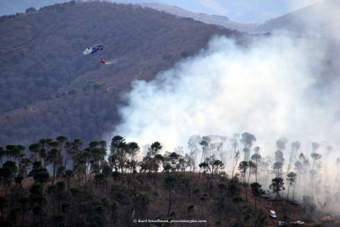 Emergency services declare Igualeja forest fire 'stabilised'. Photograph: Karl Smallman