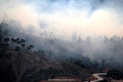 Emergency services declare Igualeja forest fire 'stabilised'. Photograph: Karl Smallman