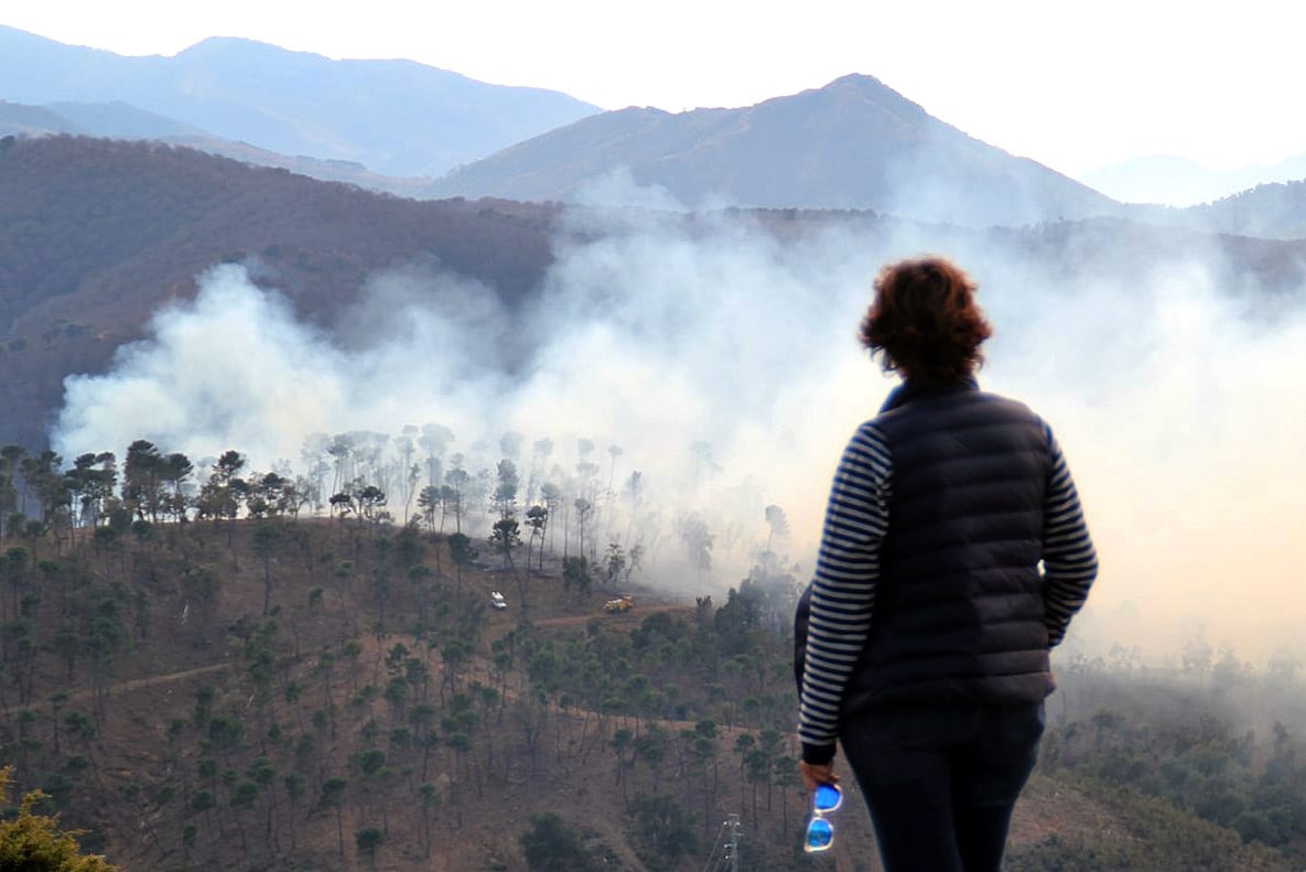 igualeja forest fire