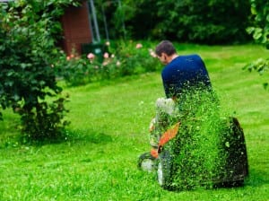 A sit-on lawnmower