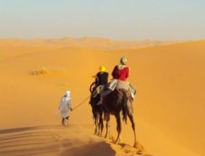 climate change morocco desert
