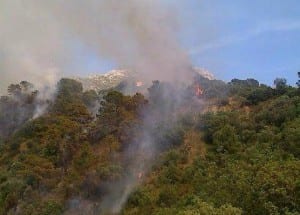 WILD FIRE: In Istan