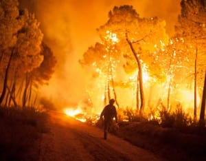 Forest fires rip through  Spain