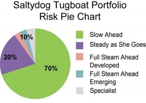 salty-dog-Risk-Pie-Chart
