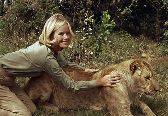 steven virginia mckenna