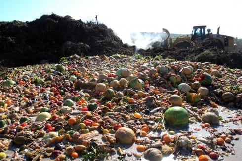 composting waste site