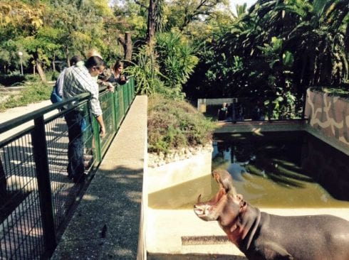 zoo jerez e