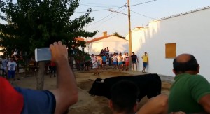 A spectator has died at another Spanish bull-running fiesta after being gored to death as he tried to escape over a fence.