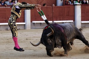 bullfight-madrid