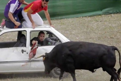 x bullfights