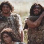 Neanderthals e