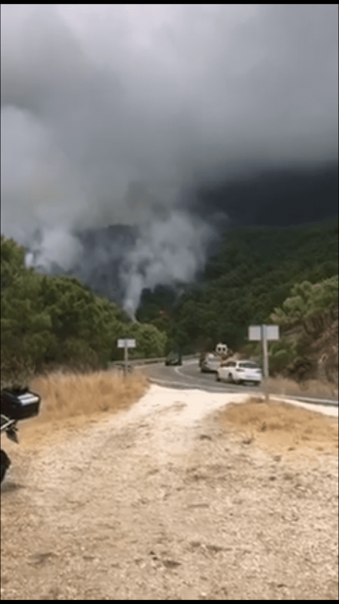 BREAKING: Firefighters and helicopters tackle Benahavis forest fire