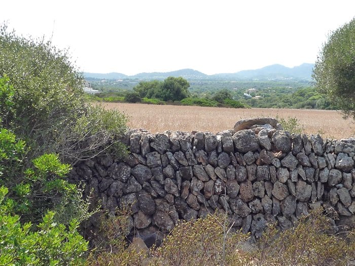 Dry Stone Walling