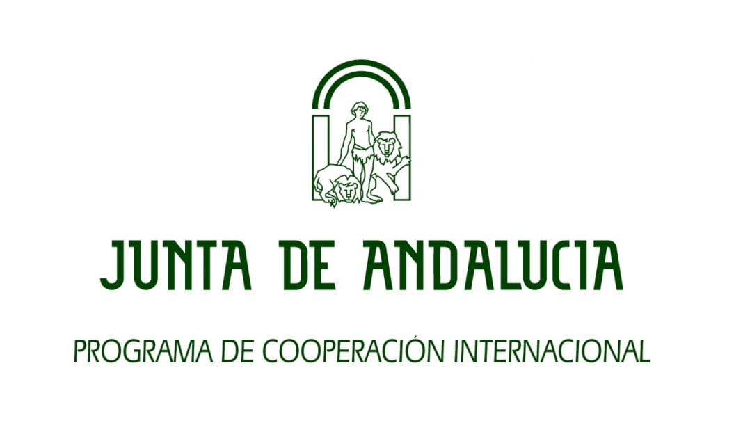 Junta de Andalucia has shed over 2,000 jobs per year since 2010 - Olive ...