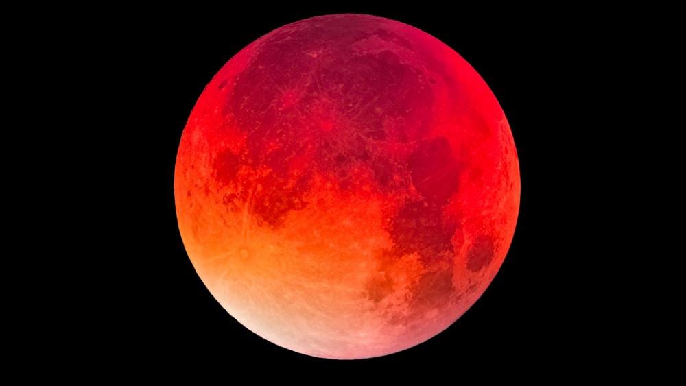 Everything you need to know about the super wolf blood moon in Spain that  could 'end the world' THIS WEEKEND - Olive Press News Spain