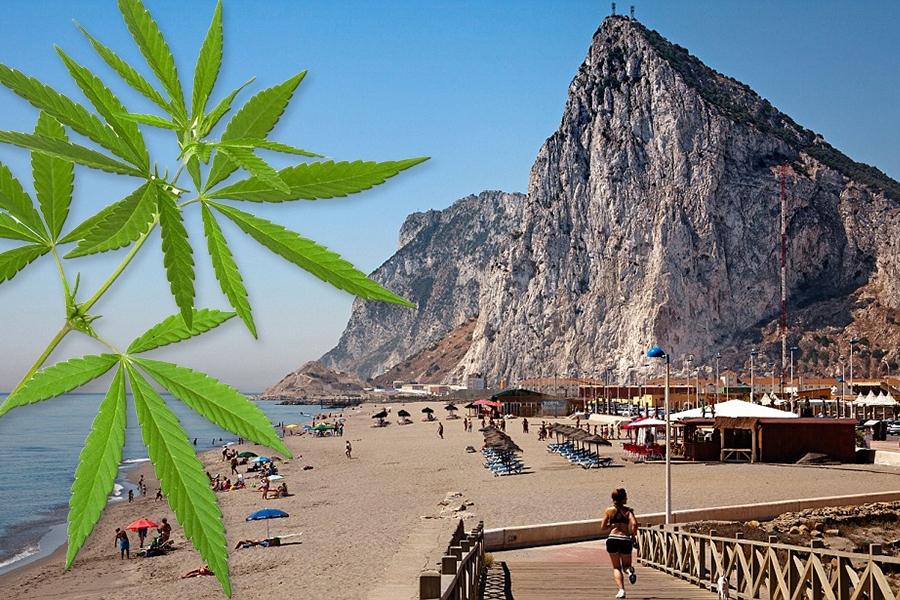 Gibraltar Cannabis 1