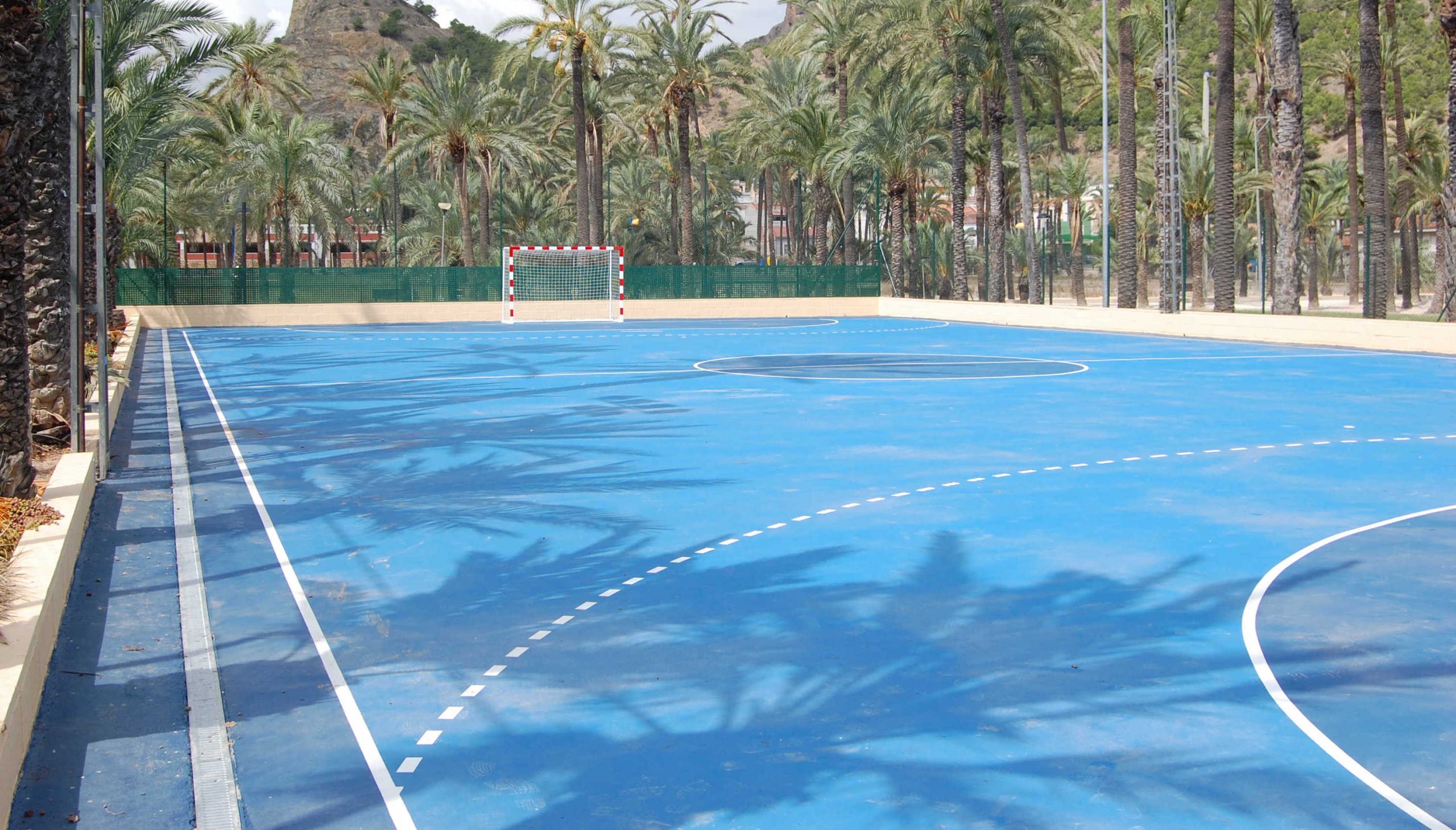 Polideportivo Municipal El Palmeral