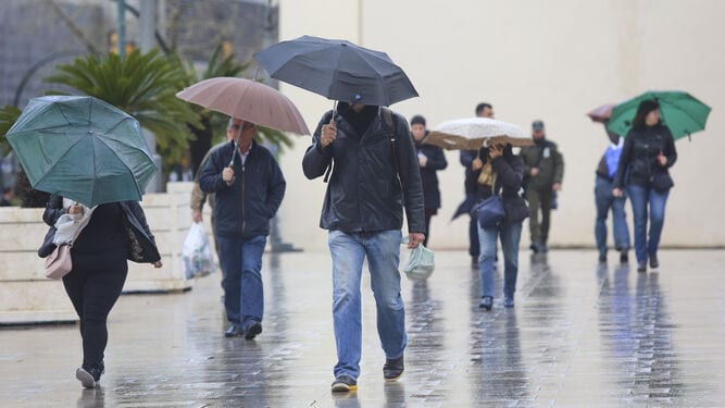 Varias Personas Protegen Lluvia Paraguas_1420068136_114135124_667x375