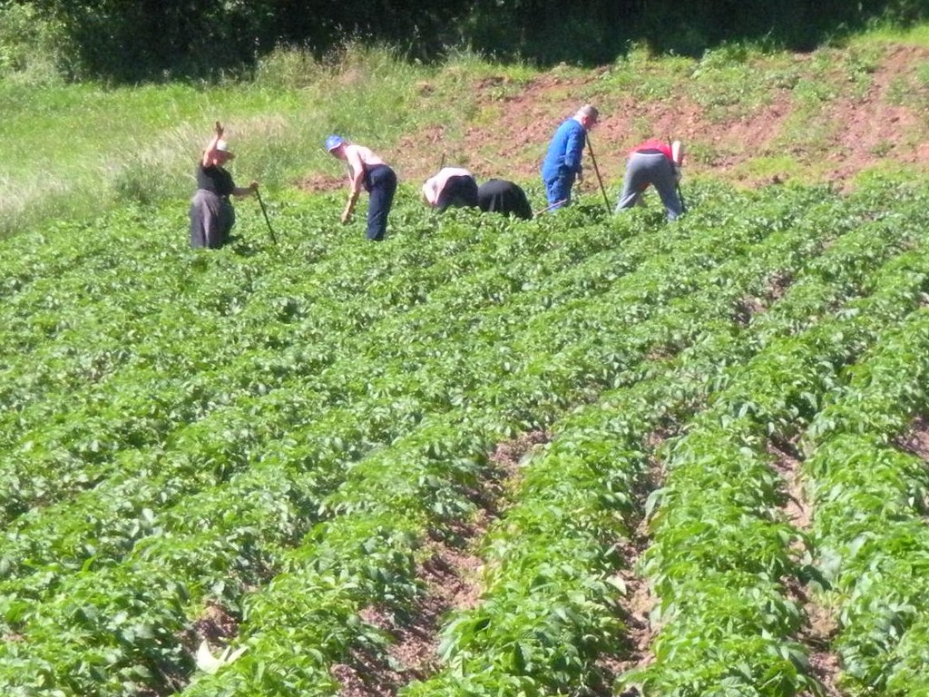 Farm Spain