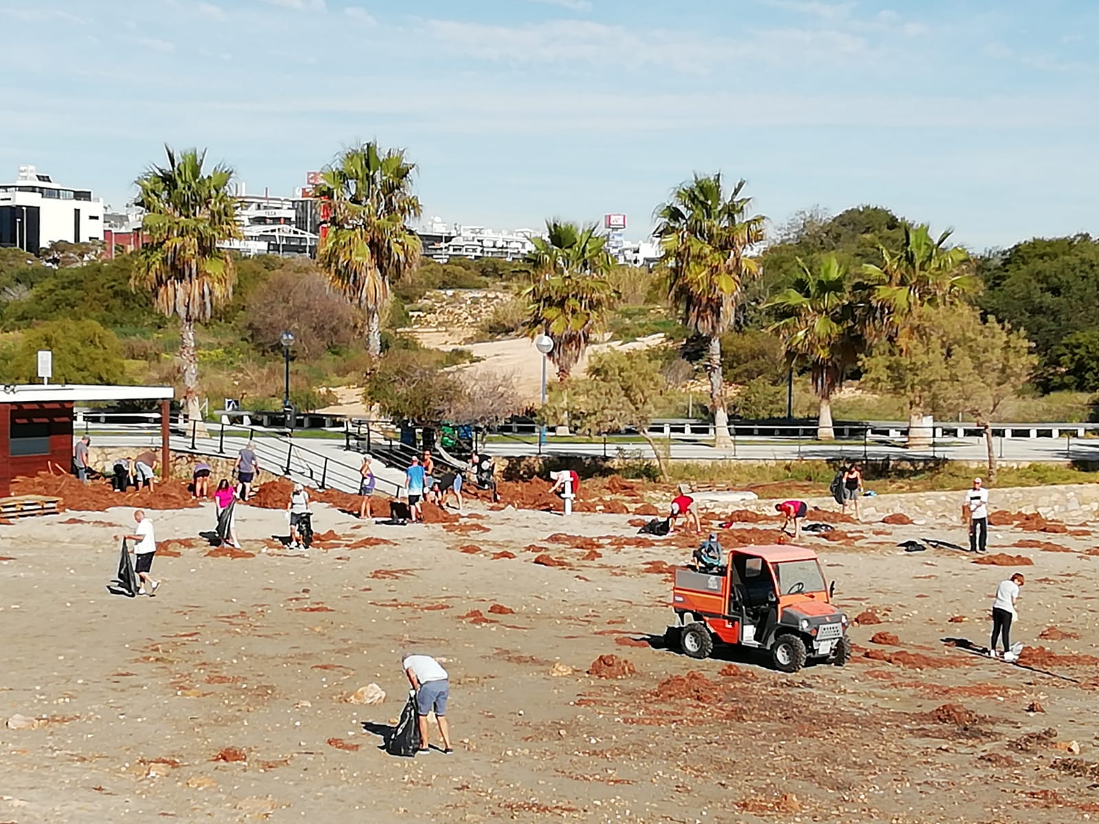 Fotos Limpieza Playas Orihuela Costa