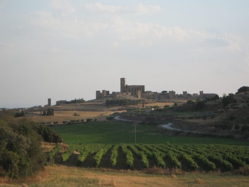 Artejona Navarra