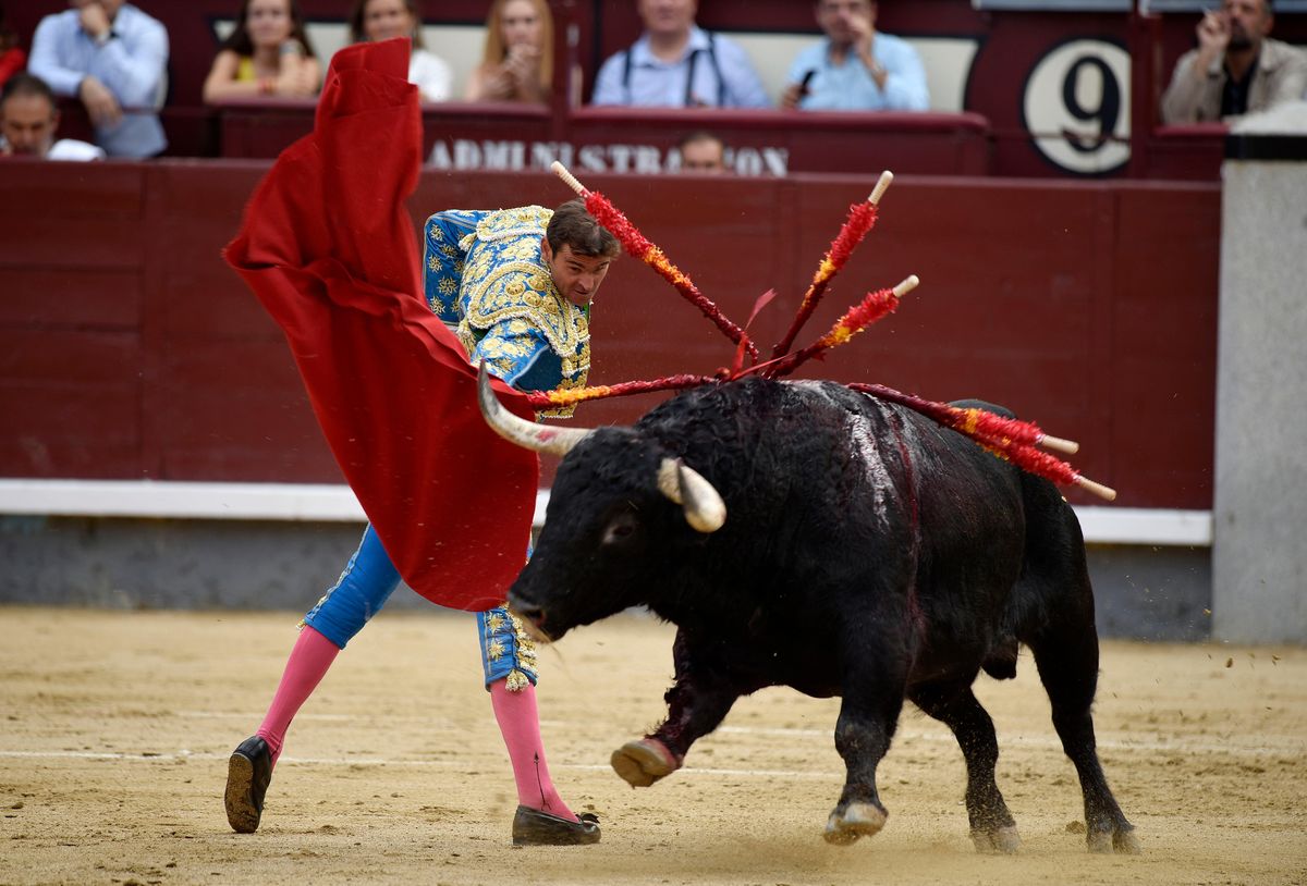 Bullfighting