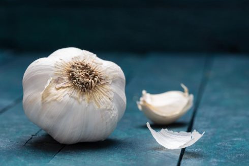 Garlic