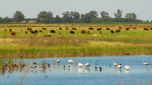 La Pampa