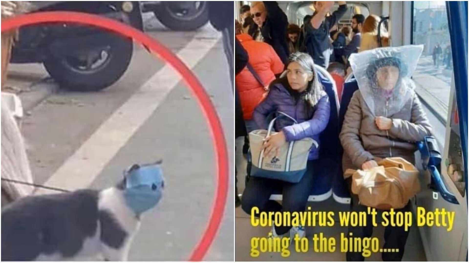 Funny Coronavirus Memes In Spanish