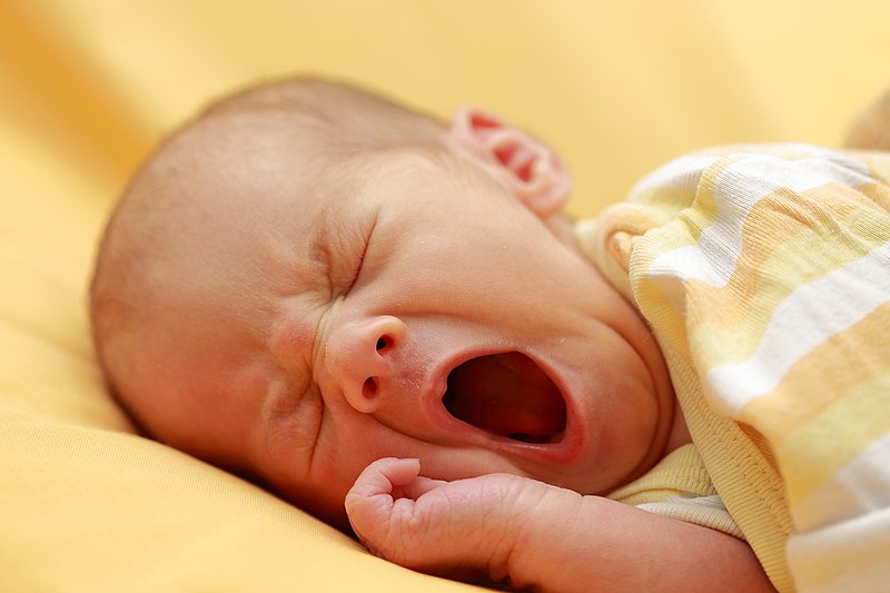 800px Yawning_infant_august_2018